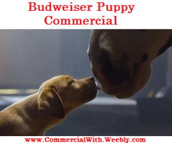 Budweiser Puppy Commercial