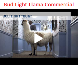 Bud Light Llama Commercial